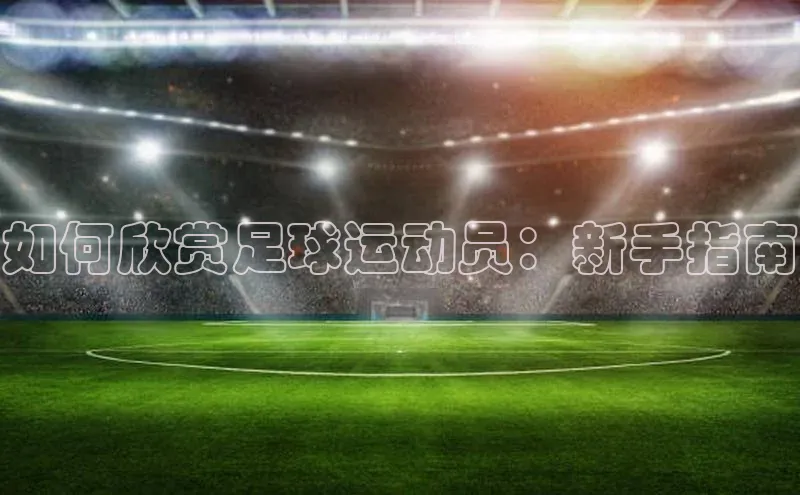 人生搏z6mg官网入口百度翻译